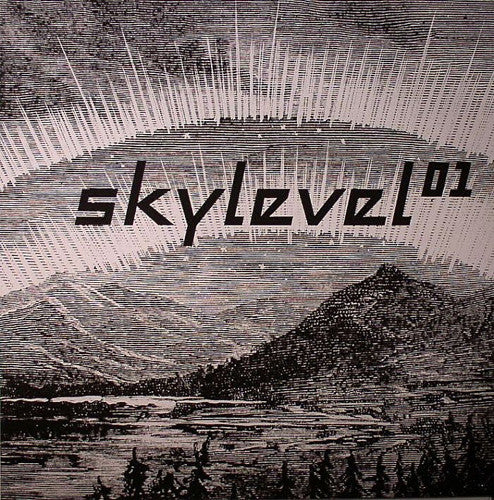 Skylevel : Skylevel 01 (12", Ltd, Unofficial)
