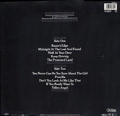 Meat Loaf : Midnight At The Lost And Found (LP, Album, RE)
