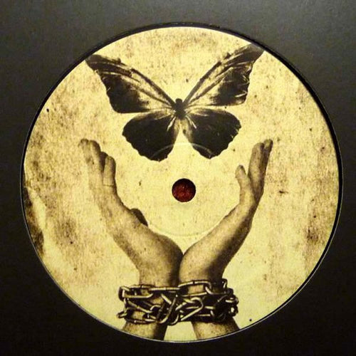 Alessandro Verrina & Anderplau : She Sleep EP (12", EP)