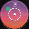 The Playthings : Surrounded By A Ray Of Sunshine (7", Sil)