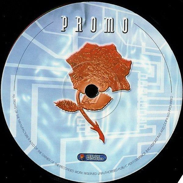 Ten 4 : Flava (12", Promo)