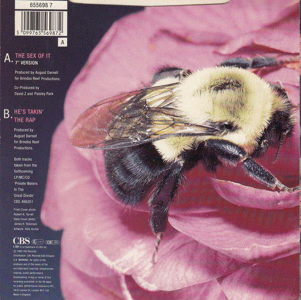 Kid Creole And The Coconuts : The Sex Of It (7", Single)