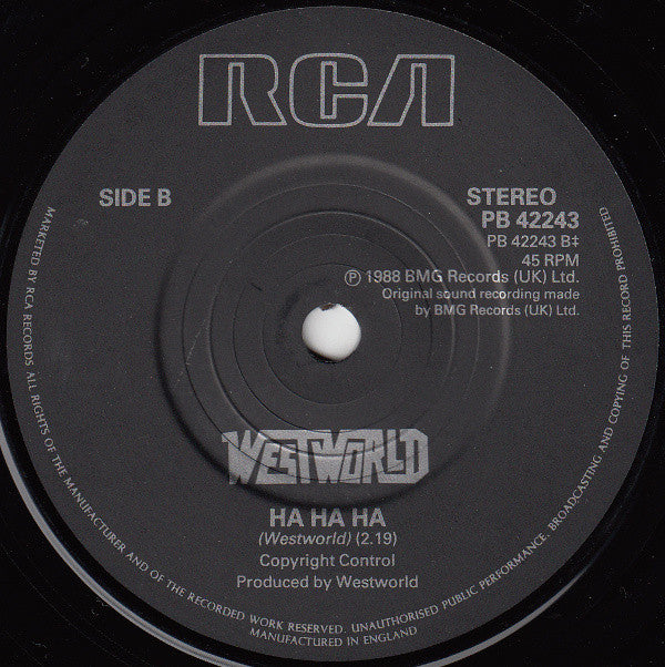 Westworld (2) : Everything Good Is Bad (7", Single)