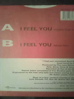 Love Decade : I Feel You (7", Single)