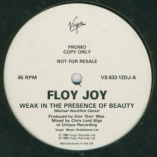 Floy Joy : Weak In The Presence Of Beauty (12", Promo)
