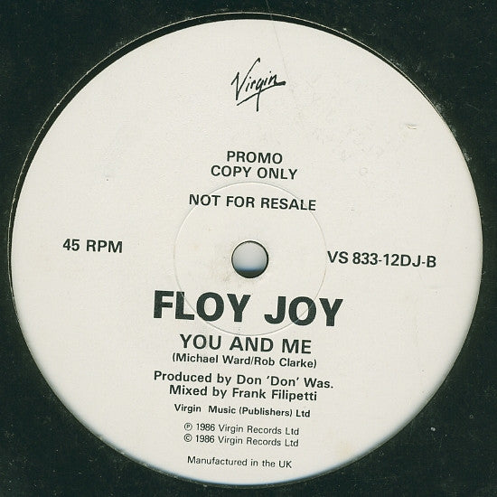 Floy Joy : Weak In The Presence Of Beauty (12", Promo)