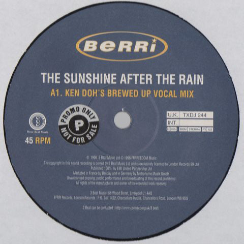 BERRi : The Sunshine After The Rain (2x12", Promo)