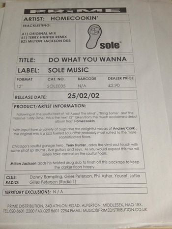 Homecookin' : Do What You Wanna (12", W/Lbl, Sti)