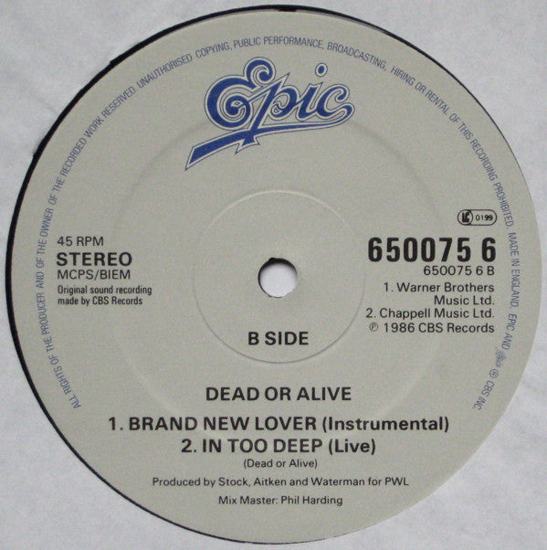 Dead Or Alive : Brand New Lover (12")
