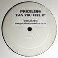 Priceless (12) : Can You Feel It (12", S/Sided, W/Lbl)