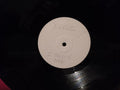 The Reese Project : I Believe (12", W/Lbl)