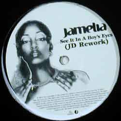 Jamelia : See It In A Boy's Eyes (12", Promo)