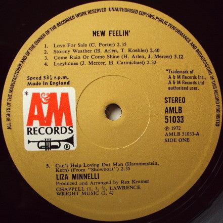 Liza Minnelli : New Feelin' (LP, Album)
