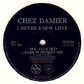 Chez Damier : I Never Knew Love (12")