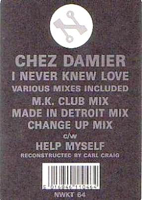 Chez Damier : I Never Knew Love (12")