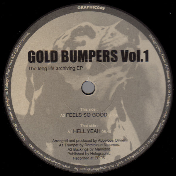 Gold Bumpers : The Long Life Archiving EP (12", EP)