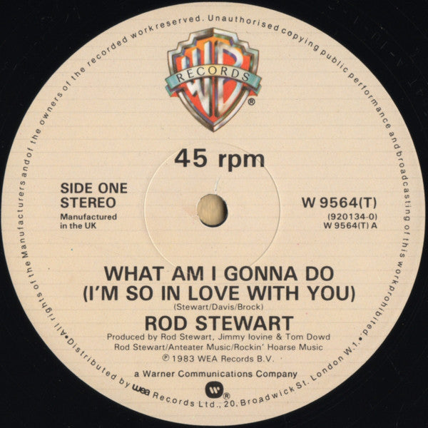 Rod Stewart : What Am I Gonna Do (I'm So In Love With You) (12", Single)