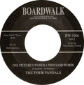 The Four Vandals : One Picture's Worth A Thousand Words (7", Single)