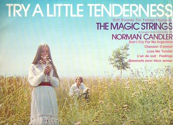 The Magic Strings : Try A Little Tenderness - Soft Sounds For Tender Moments (LP, Album)