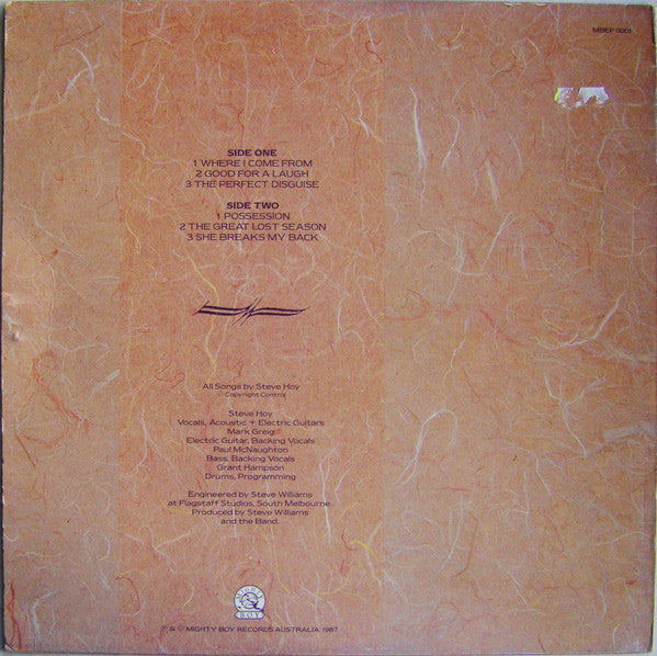 Steve Hoy (2) : Possession (LP)