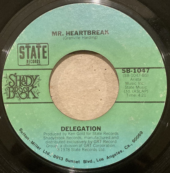 Delegation : Someone Oughta Write A Song (About You Baby) (7", Single, Styrene, Ter)