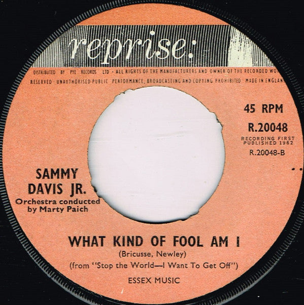 Sammy Davis Jr. : Gonna Build A Mountain (7", Single)