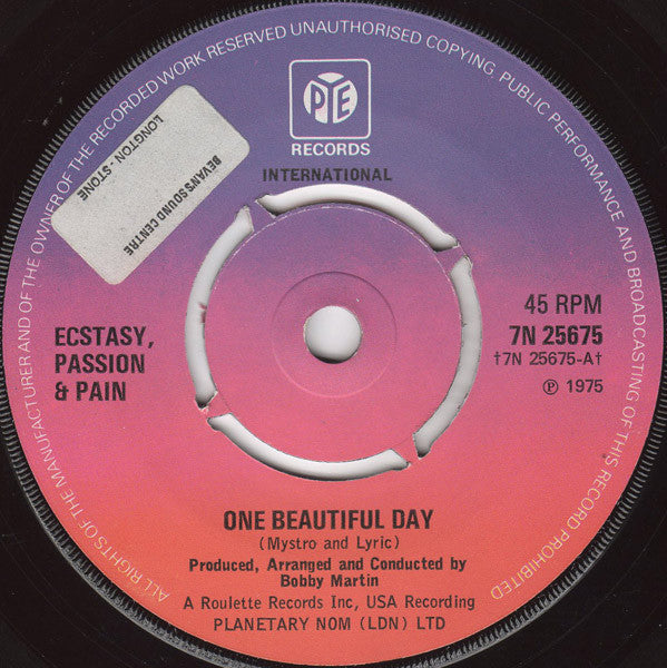 Ecstasy, Passion & Pain : One Beautiful Day / Try To Believe (7")