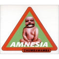 Chumbawamba : Amnesia (CD, Promo)