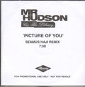 Mr Hudson : Picture Of You (CDr, Promo)