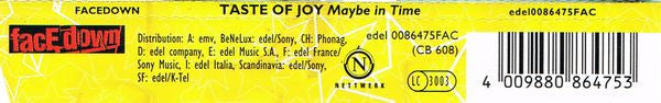 Taste Of Joy : Maybe In Time (CD, Single)