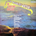 The Larry Page Orchestra* : Bridge Over Troubled Water (LP, RE)