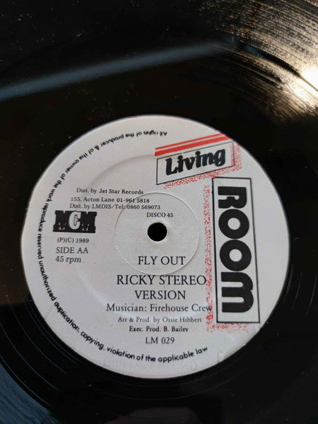 Flourgon / Ricky Stereo : Sweet Reggae Music / Fly Out (12", Single)