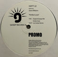 Hott 22 Featuring Gene Williams : Perfect Love (12", Promo)