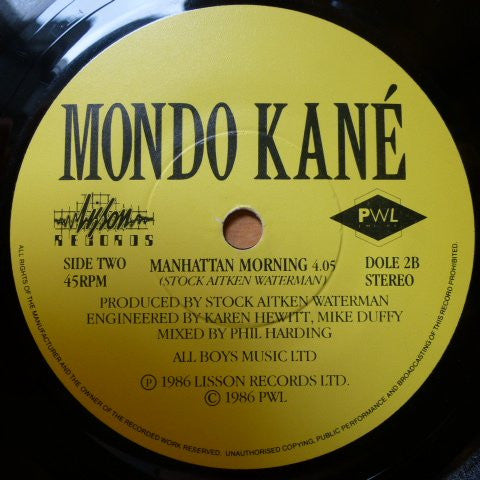 Mondo Kané  Featuring  Dee Lewis  And  Coral Gordon Guest Star Georgie Fame : New York Afternoon (7", Single)