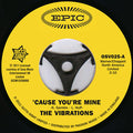 The Vibrations : 'Cause You're Mine (7", RE)