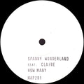 Spanky Wonderland : How Many Times (2x12", W/Lbl)