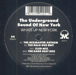 The Underground Sound Of New York : Whats Up New York (12")
