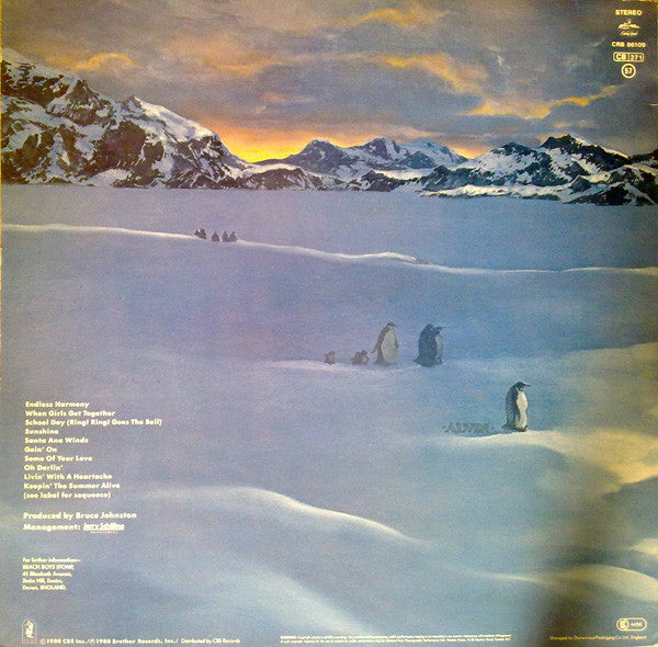 The Beach Boys : Keepin' The Summer Alive (LP, Album)