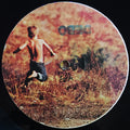 The Psychedelic Waltons Featuring Róisín Murphy : Wonderland (12", W/Lbl)