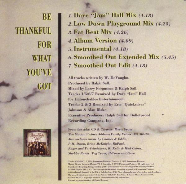 Portrait : Be Thankful For What You've Got (CD, Single, Promo)