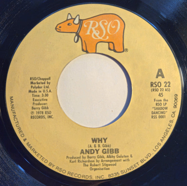 Andy Gibb : Why / One More Look At The Night (7", Single, Styrene, US )