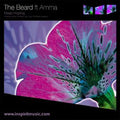 The Beard Ft Amma : Keep Hoping (12")