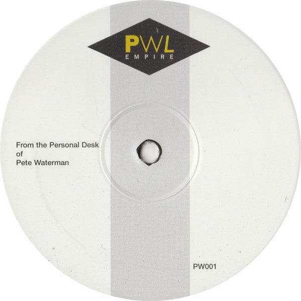 Work In Progress Feat. Emmie : I Won't Let You Down (12", S/Sided, Promo)