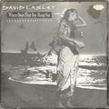 David Lasley : Where Does That Boy Hang Out (7")