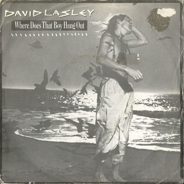 David Lasley : Where Does That Boy Hang Out (7")
