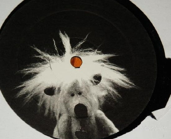 The Trackmasters : Searchin' (12", Unofficial)