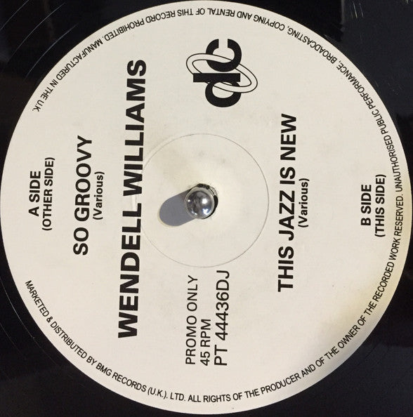 Wendell Williams : So Groovy (12", Promo)