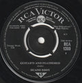 Duane Eddy : Guitar'd And Feathered (7", Single)