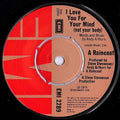 A Raincoat : I Love You For Your Mind (Not Your Body) (7", Single)