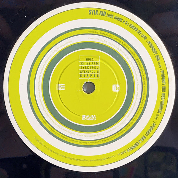 Sylk 130 : Last Night A DJ Saved My Life (12", Promo)